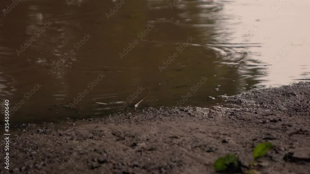 drops hit puddles in the rain drops hit puddles in the rain