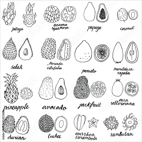 Vector set of exotic fruits. In whole and in parts. Sketch of tropical fruits with hand-signed names. Doodle style illustration for books, design, coloring pages for children and adults.Isolated. 