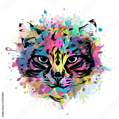 Cat head colorful illustrat...