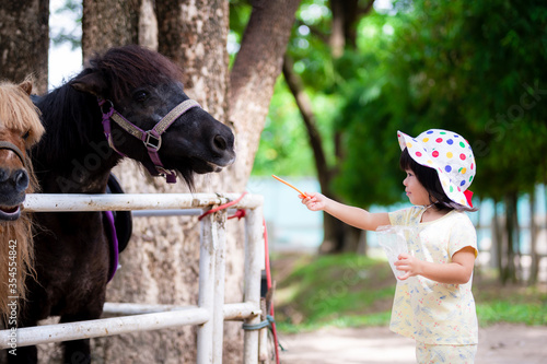 Asian adorable kid girl feeding food to a horses. Child playing with animal pet horse. Outdoor activity fun for children. Baby age 2-3 years old. photo