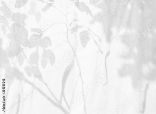 Natural leaves and tree shadow background of tree branch