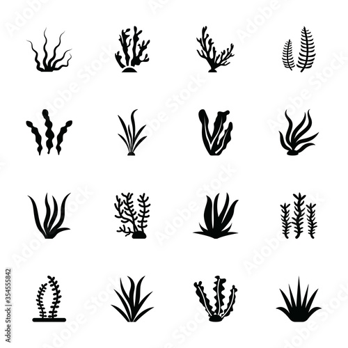 Coral Reef Glyph Vector Icons  photo