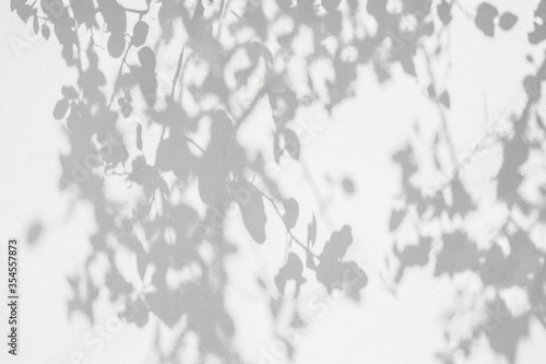 Leaves shadow pattern on white concrete wall © merrymuuu