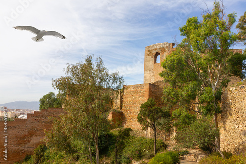 Malaga, Spain, Gibralfaro Castle architecture with flying seagull