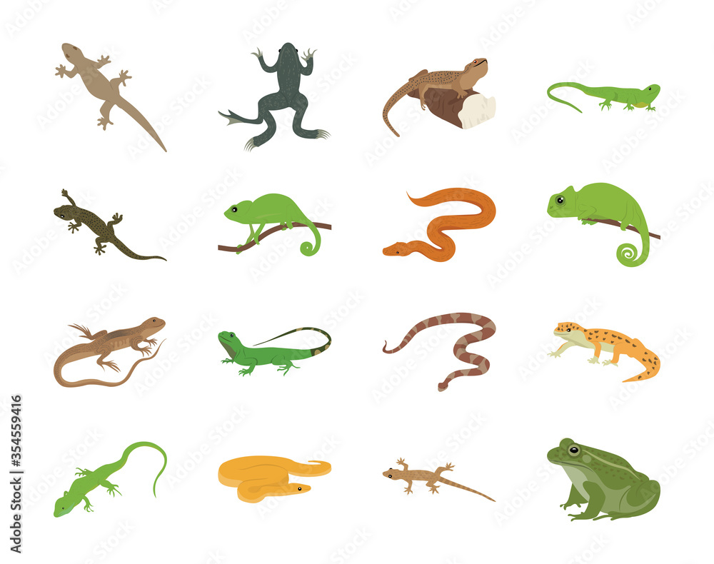 Amphibians Flat Vector Icons Amphibians Flat Vector Icons