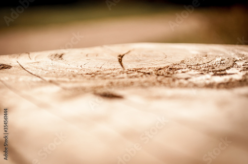 Closeup of the wood on a park bench