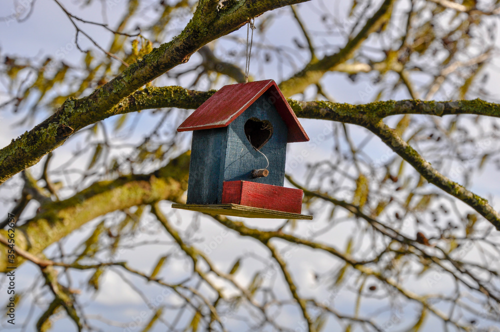 A small red and blue bird nesting box hanging on a tree in the winter A small red and blue bird nesting box hanging on a tree in the winter