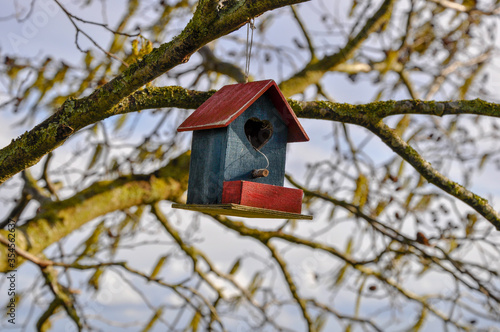 A small red and blue bird nesting box hanging on a tree in the winter