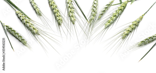 Young green ears of wheat isolated on white background 