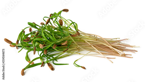 Bunch of micro green sprouts isolated on white background photo