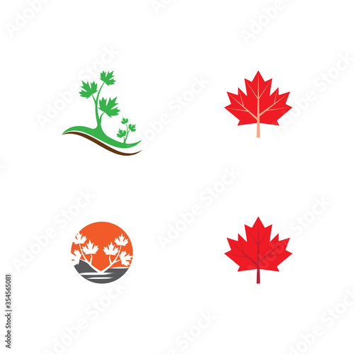 Fototapeta Naklejka Na Ścianę i Meble -  set Maple leaf vector illustration
