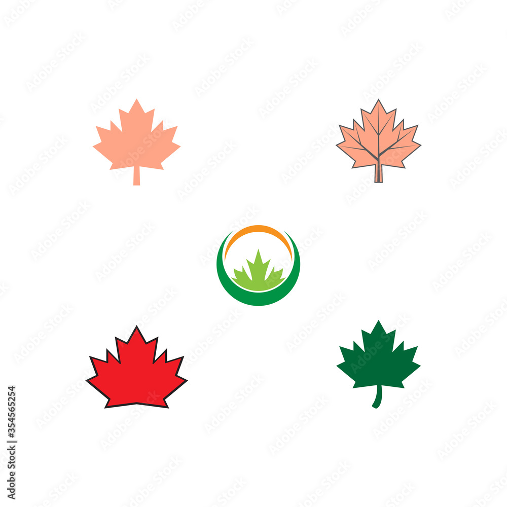 set Maple leaf vector illustration set Maple leaf vector illustration