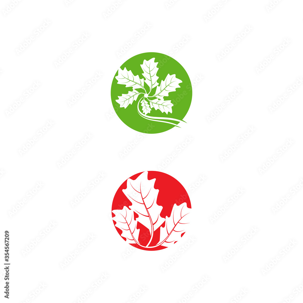 Maple leaf vector illustration Maple leaf vector illustration