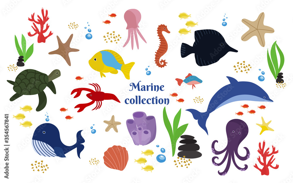 Obraz premium Collection of marine life. Dolphin, whale, octopus, turtle, jellyfish, crayfish, fish, algae, corals, shell. Vector illustration in the style of the drawing hand.