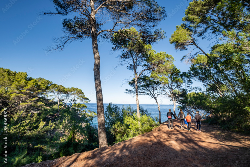 senderismo en Volta des General, Paraje Natural de la Sierra de la Tramuntana, Banyalbufar, Mallorca, Balearic Islands, Spain