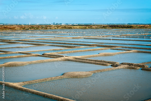 Canvas Print Landscape of salt marshes in Guerande peninsula, France