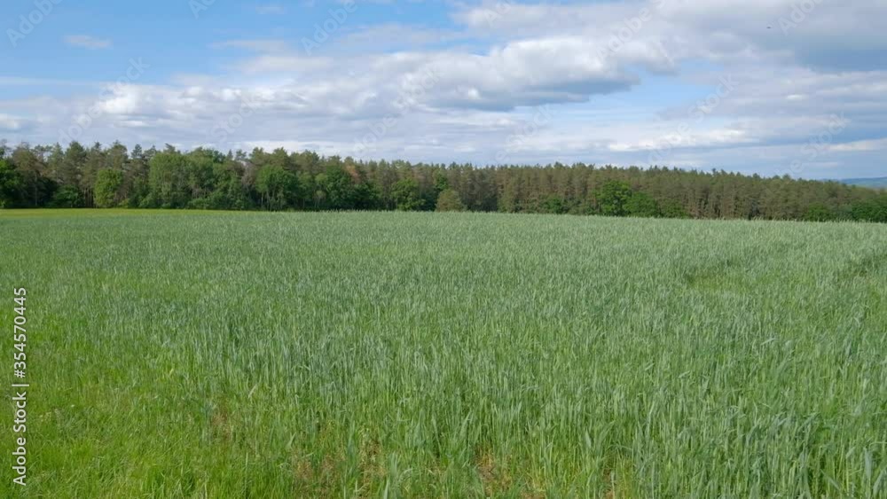 Pan shot of beautiful German agricultural countryside landscape with growing grain field in foreground. Seen in May in Middle Franconia near Neunhof in Germany Pan shot of beautiful German agricultural countryside landscape with growing grain field in foreground. Seen in May in Middle Franconia near Neunhof in Germany