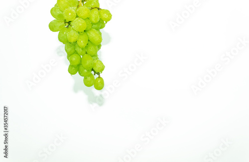 Juicy and ripe pitted grapes hanging on a branch on a white background