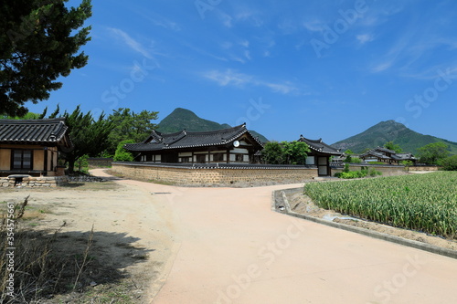 한국의 전통 건축물이 보이는 풍경