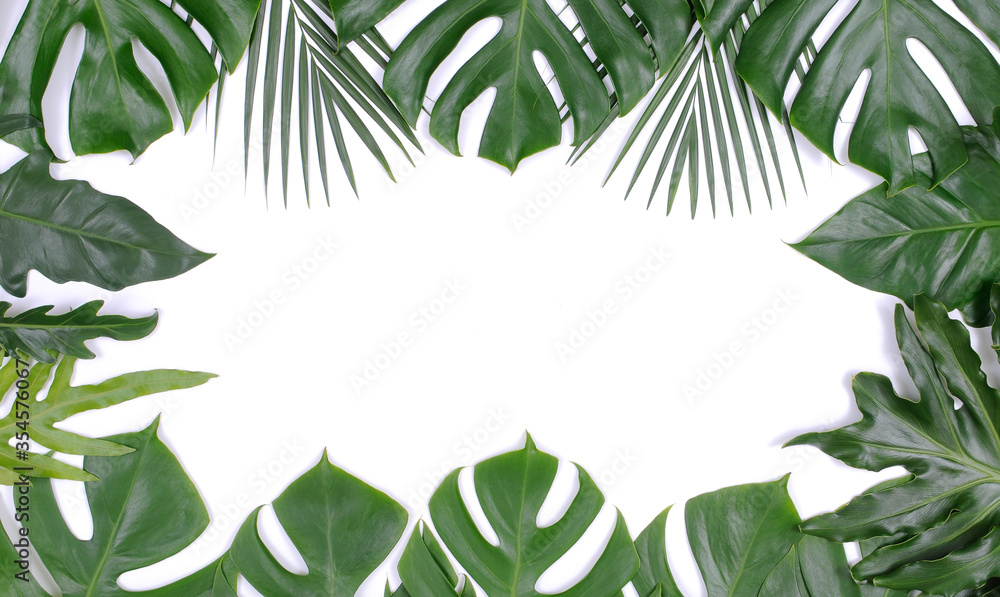 Naklejka premium frame of tropical palm and monstera leaves