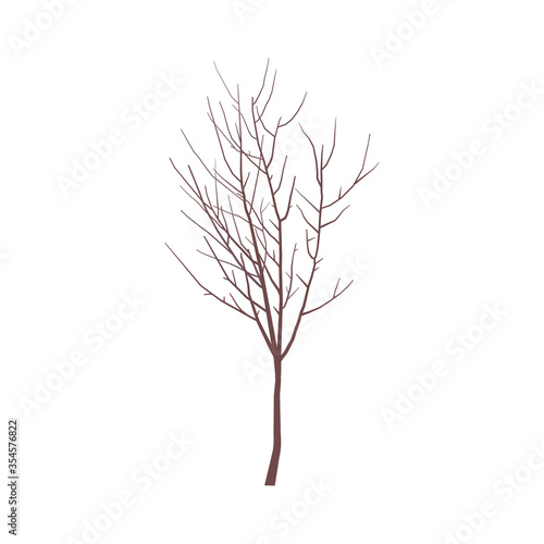 Tree. Branch is isolated. Vector illustration in flat style. Silhouette.