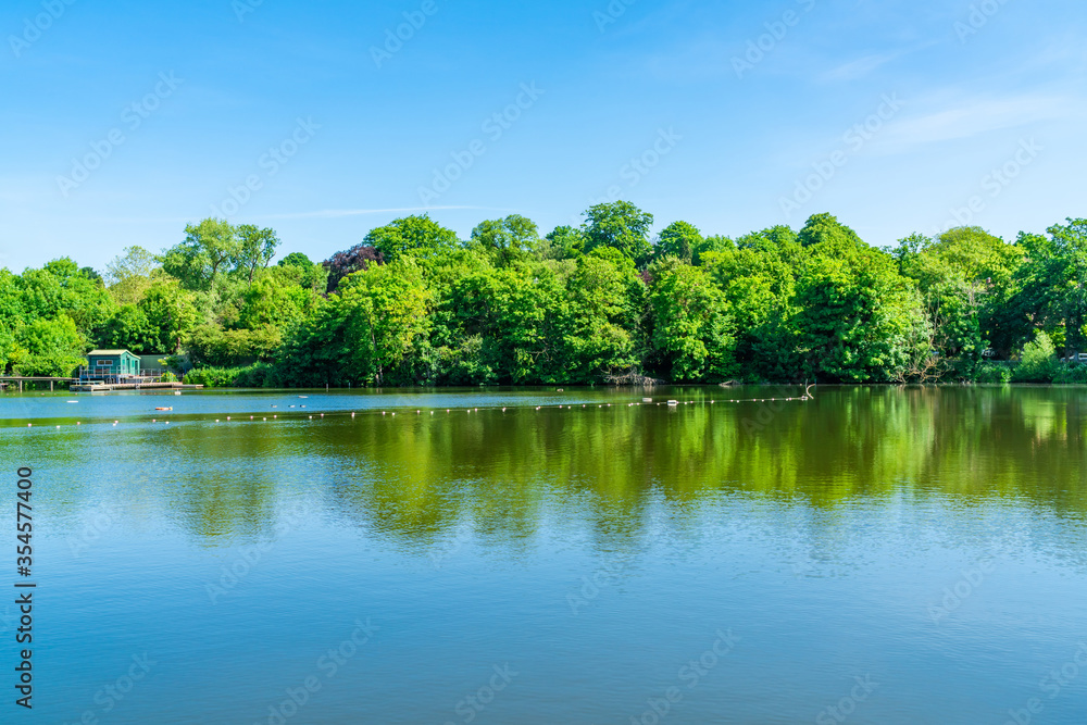 Fototapeta premium A bathing pond in Hampstead Heath park in north-west London. UK