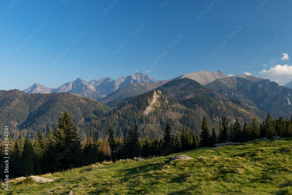 View of the Polish and Slovak Tatras from Rusinowa Polana (Poland). Foggy afternoon, popular hiking trail, sheep grazing, viewpoint.