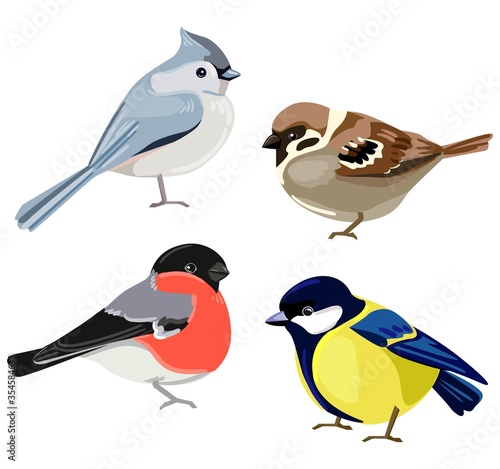 Birds set vector illustration. European crested tit, Titmouse, Bullfinch, Sparrow.