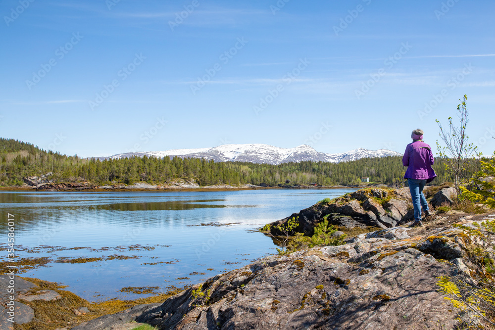 Hike in the Velfjord forests, Northern Norway