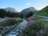 Beautiful views of fields and rivers among the mountains in Arosa, Switzerland