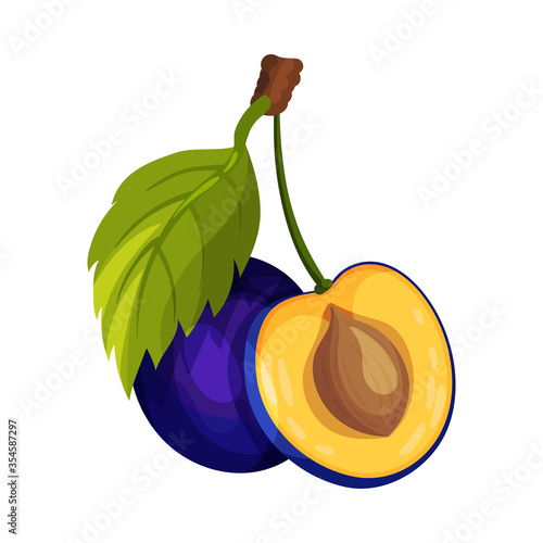 Halved Plum Berry with Sweet Flesh and Stone Vector Illustration