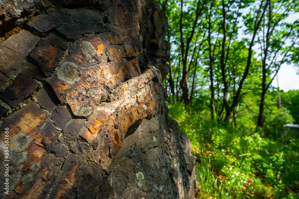 The edge of the foot of the mountain in the forest thicket The edge of the foot of the mountain in the forest thicket