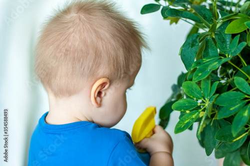 The child helps to take care of indoor plants. The boy sprays on the leaves with a bullet gun. Care of plants.