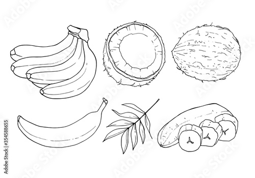 Vector set of contours of bananas and coconuts. Element for coloring pages.