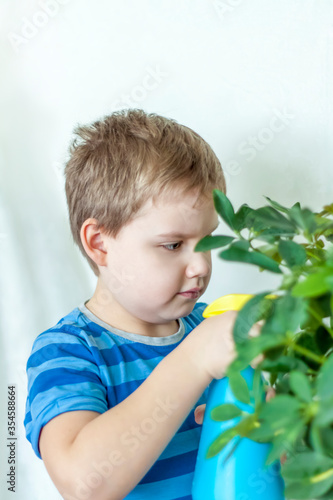 The child helps to take care of indoor plants. The boy sprays on the leaves with a bullet gun. Care of plants.