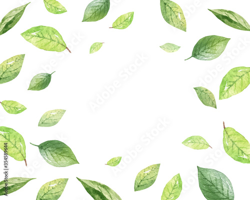 Watercolor vector design of green leaves isolated on a white background.