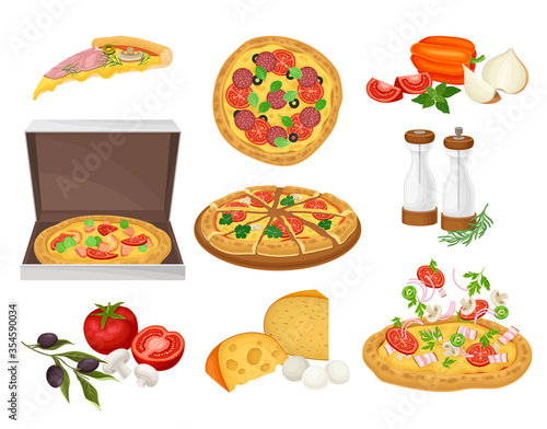 Pizza and Ingredients with Olives and Cheese Vector Set