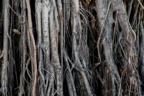 The cloud cover blue sky bright and clear Suitable for background.