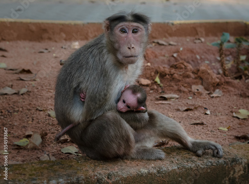 mother and baby © mariyamnamitha