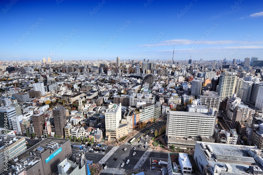 Fototapeta premium Tokyo cityscape