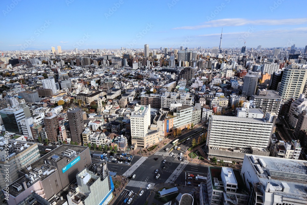 Fototapeta premium Tokyo city aerial view