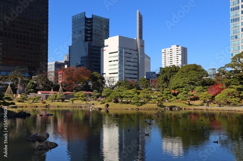 Tokyo autumn skyline
