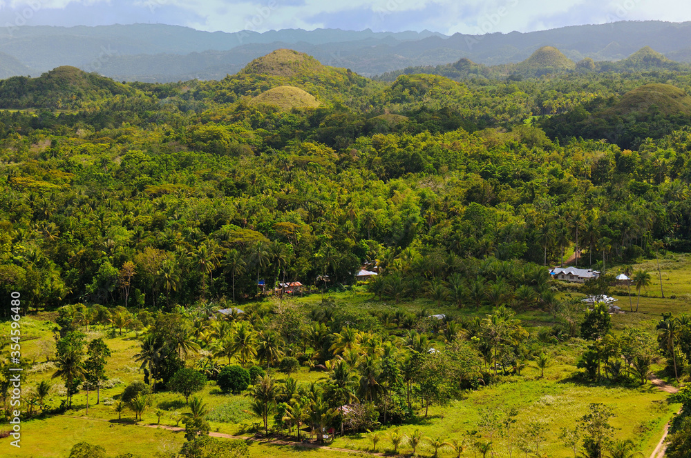 Bohol Island, Philippines. Panoramic view of the chocolate hills, palm trees and jungles.