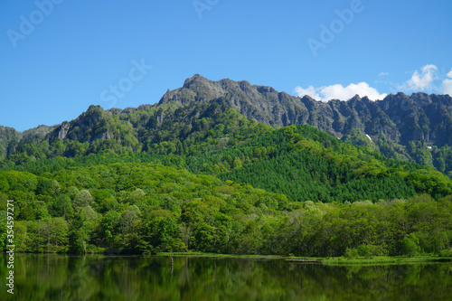 新緑の鏡池