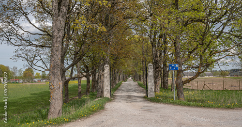 path in the park