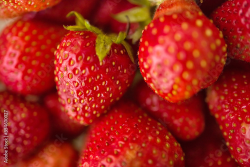 Wallpaper Mural Strawberry. Macro closeup of fresh red and ripe strawberries. Fruit background. Freshly harvested strawberries. Vegetarian vegan organic berries macro. Selective focus Torontodigital.ca