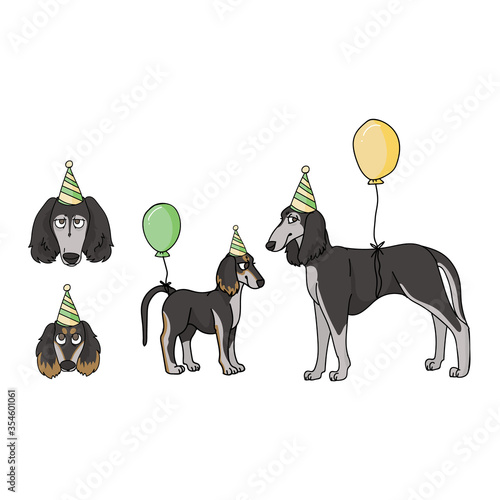 Cute cartoon saluki dog party set vector clipart. Pedigree kennel doggie breed for dog lovers. Purebred domestic for celebration illustration mascot. Isolated canine borzoi hound. EPS 10. 
