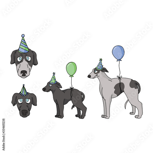 Cute cartoon greyhound dog party set vector clipart. Pedigree kennel racing hound for dog lovers. Purebred domestic pooch for celebration illustration. Isolated fast canine puppy. EPS 10. 