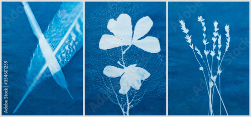 Cyanotype photography, solar photo, special photography method  photo