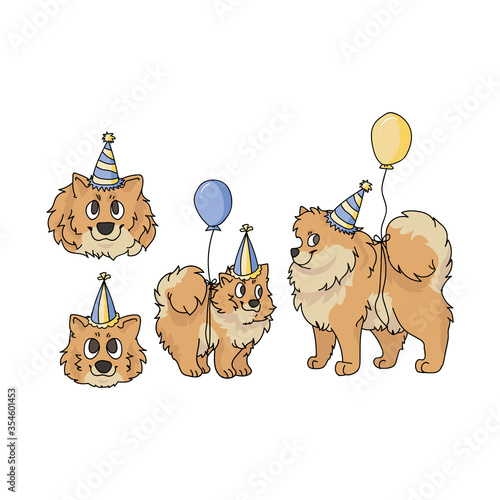 Cute cartoon pomeranian party set vector clipart. Pedigree kennel doggie breed for dog lovers. Purebred domestic dog for celebration illustration mascot. Isolated canine fluffy spitz hound. 